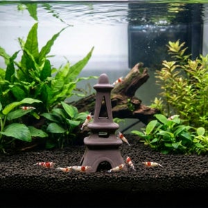 suto 세라믹 플레코 산란상및 은신처 새우 놀이터 4종