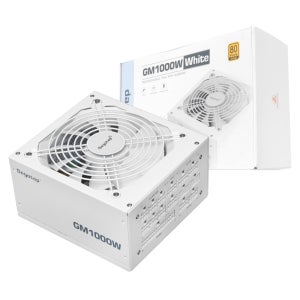 SEGOTEP GM1000W 80PLUS골드 풀모듈러 ATX3.1 화이