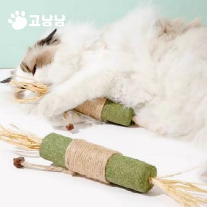 (2개입) 고냥냥 대왕 캣잎 캣닙 캣그라스 고양이 풀 스프레이