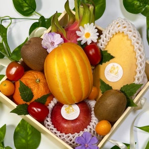 [푸릇골목] 상견례선물 프리미엄 과일선물세트