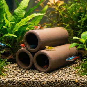 suto 세라믹 플레코 산란상 및 은신처 새우 놀이터 7종 st-165