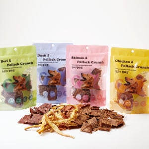 (체험단 모집중)펫츠맘마 황태칩 후기 체험단 모집중