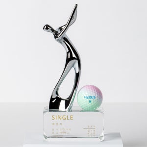 싱글패 홀인원패 골프이글패 언더파트로피 싸이클버디 기념패 주문제작 E001크롬 Single