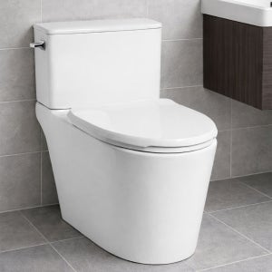 대림 변기 투피스 DC-1218 도비도스 치마형 림리스 1등급 절수형 DC1218 양부속 포함 DC212 후속 모델 (전국 시공)