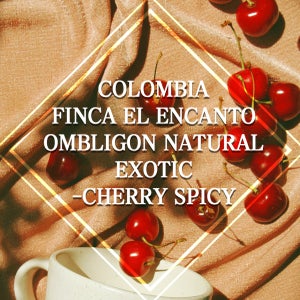 (커피생두) 90 콜롬비아 핀카 엘 엔칸토 옴블리곤 내추럴 이그조틱-체리 스파이시 10kg