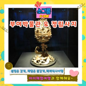 국립부여박물관 정림사지 도슨트투어 ( 6명~10명 소규모 )
