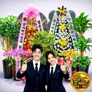 하남 축하화환 배달 결혼식 개업식 축하 화환 배달 서양란 보내기 굿서비스 전국꽃배달