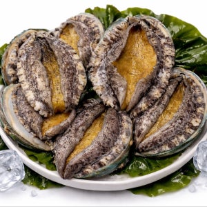 완도 활전복 1kg 5미(200g내외)