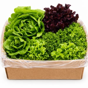 유럽 샐러드 상추 농가직송 샐러드채소 유럽피안모둠 신선채소 상추믹스 3kg, 1개