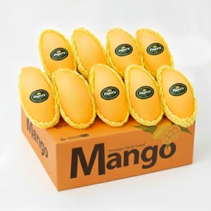 프리미엄 고당도 태국 골드망고 무지개망고 페루 애플망고 남독마이 마하차녹 카라바오 코끼리