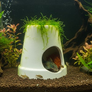 suto 세라믹 플레코 산란상및 은신처 새우 놀이터 7종 ST-110