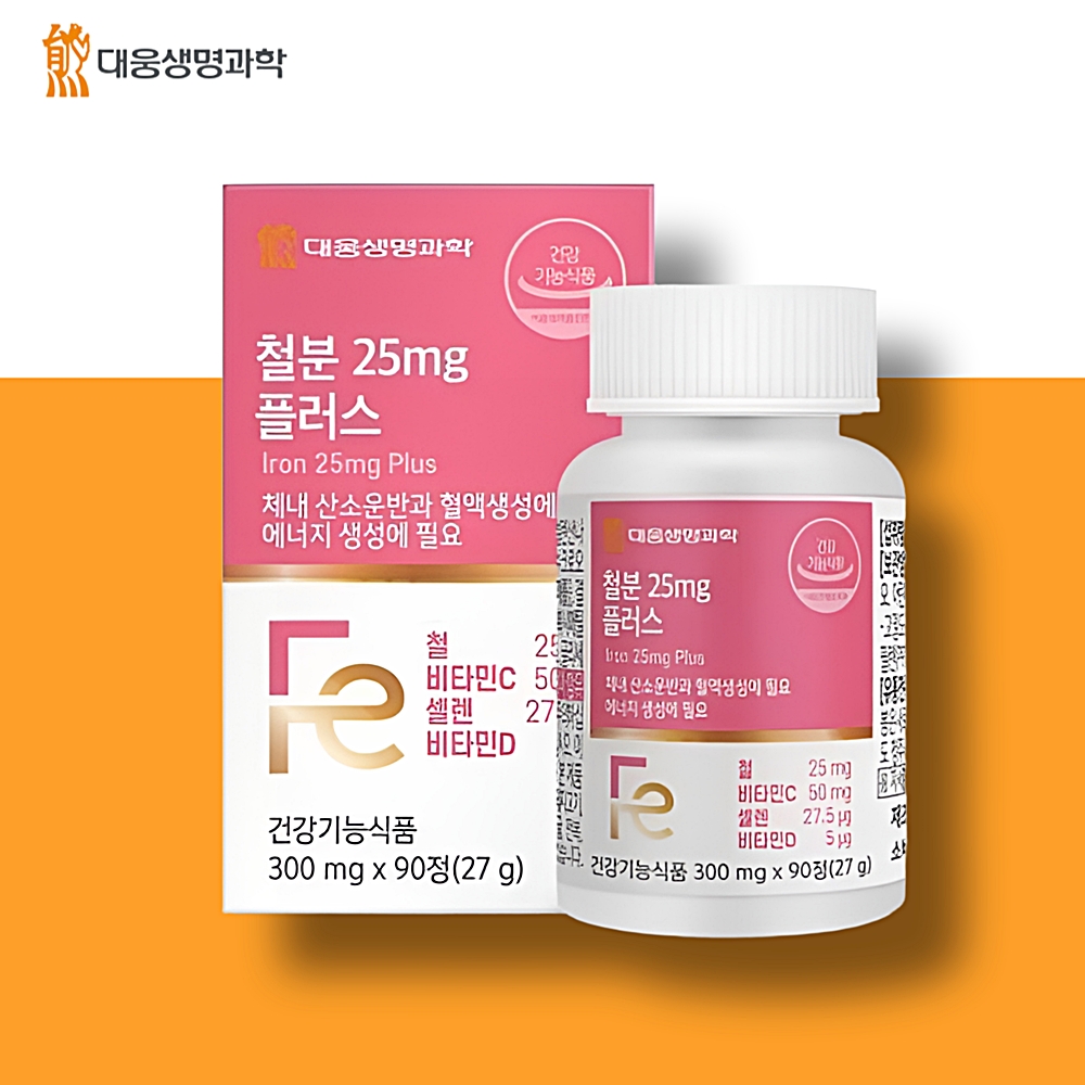 대웅 비헴철 철분 영양제 임산부 비햄철 임신 약3개월