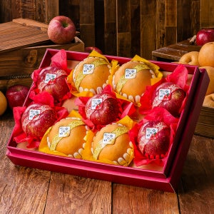 [동해농원] 명절선물 과일 사과 배 지리산 산청 고종시 곶감 정승골 명품 혼합과일 선물세트