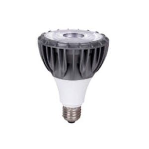 데이온 LED PAR30 집중형 30W 파30 램프