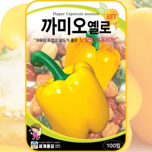 [대포장] 까미오옐로 파프리카 씨앗 100립 / 블록형 파프리카 종자 / 채소 씨앗