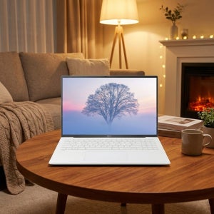 LG전자 그램16 16ZD90S-GX5VK (FREEDOS/SSD 1TB/RAM 16GB)