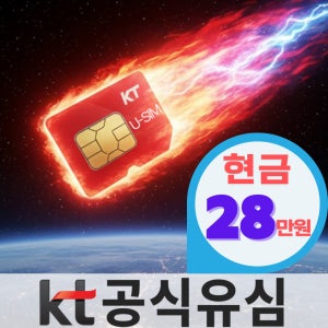 KT유심 번호이동 자급제 후불 USIM 통신사 KT로 변경 온라인 전환 셀프개통