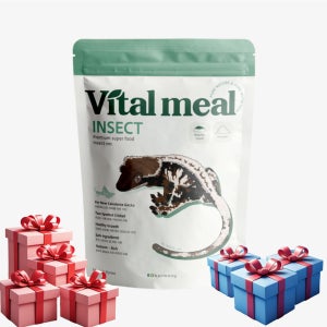 바이탈밀 인섹트 대용량 1kg 슈퍼푸드 크레 리키 사료 도마뱀 슈푸