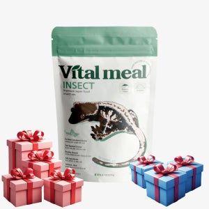 바이탈밀 인섹트 200g 슈퍼푸드 크레 리키 가고일 사료 도마뱀 슈푸