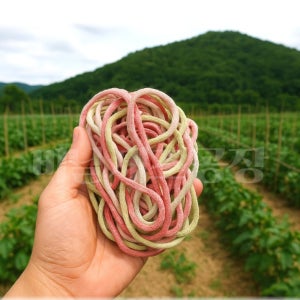 고추집게 오이집게 묶는 끈 인삼 밭 대용 양말목 1포대 비닐하우스 식물 자재