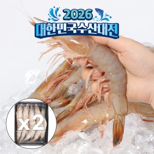 훈훈수산 제철 자연산 대하 암 서해 국내산 특대 왕새우 1kg, 2개