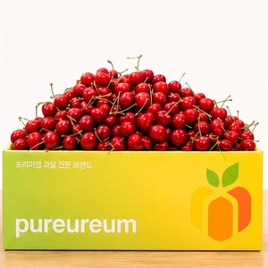 수입 점보 생체리 항공직송 왕체리 500g 1kg 2kg