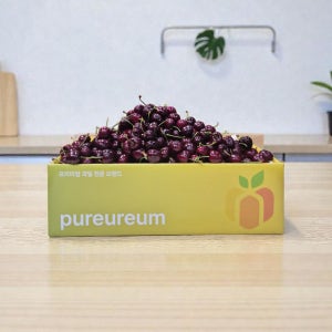 [푸르름] 항공직송 프리미엄 생 체리 특대과(9.5ROW) 500g (500~1500g)
