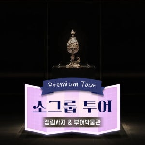 [부모분리/동반] 국립부여박물관 정림사지 프리미엄 투어 | 6~10명 내외 소그룹 by 아이체험교육여행