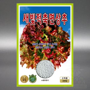KS 새빛적축면 팰랫 1만립 꽃상추 여름 겸용 포찹용 상추 씨앗 씨 코팅 종자