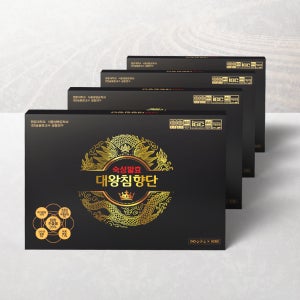 원광 숙성발효 대왕침향단 8개월분 (60환 X 4박스) 침향 35% 국내최대함량