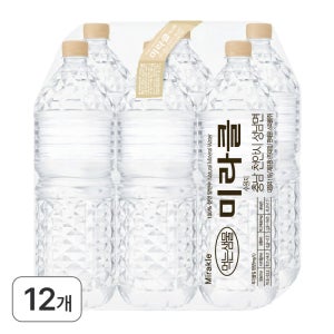 미라클샘물 2L, 12개