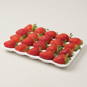 명일원 프리미엄 금실 생딸기 상, 800g, 1개