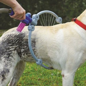 반려동물 강아지 목욕기 고양이 강아지 샤워기 애완 용품