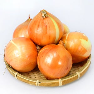 25년 국내산 햇양파 (중), 5kg, 1개