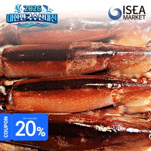 [3주차](아빠의 장바구니)신진도 오징어 냉동 초코오징어 20미 태안 서해안