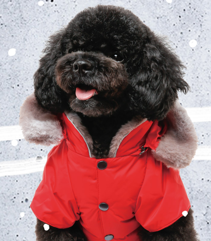 강아지 패딩 조끼 경량 발열 패딩하네스 소형견 애견 겨울옷 SM