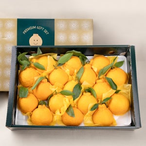 제주 직송 한라봉 선물세트 2kg 3kg 5kg 선물용 보자기 가방 과일선물세트 설 명절