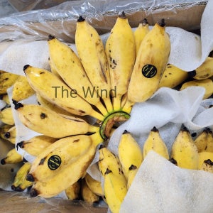 베트남 과일 노란 심 바나나 3kg, 1개