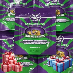 판게아 무화과 56G 슈퍼푸드 크레 리키 가고일 게코 도마뱀 파충류 슈푸