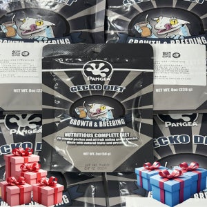 판게아 브리딩포뮬러 56G 슈퍼푸드 크레 리키 가고일 게코 도마뱀 파충류 슈푸