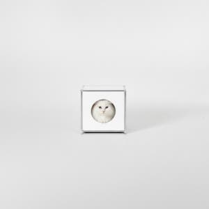 미드퍼 철제 미드센츄리 모듈 캣타워 1x1 숨숨집 400x400x420