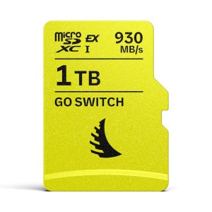 엔젤버드 닌텐도 스위치2 GO SWITCH microSD Express 1 TB
