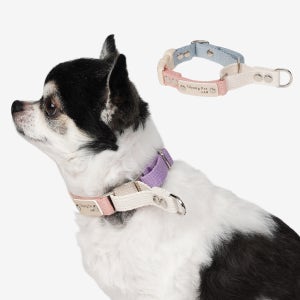 순면 마틴게일 소형견 중형견 강아지 인식표 목줄