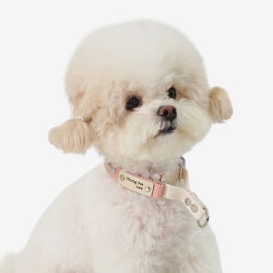 순면 마틴게일 소형견 중형견 강아지 인식표 목줄