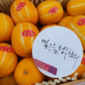 성주참외 10kg (21~25과)