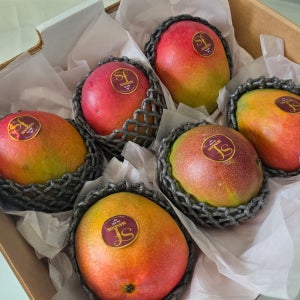 고당도 100% 애플망고 6과/9과 2.7kg, 6개