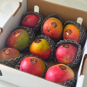 고당도 100% 애플망고 6과/9과 4kg, 9개