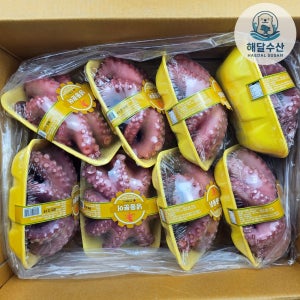 모리타니아 문어 냉동 자숙문어 제수용 업소용 손질 8kg