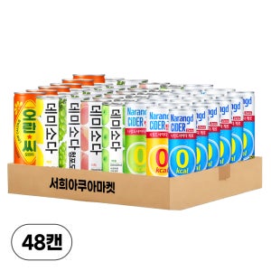[탄산음료 8종] 나랑드사이다 데미소다 오란씨 250ml, 48개