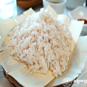 우람바당 통영 기장식 칠암식 붕장어 바다장어 아나고회 세꼬시